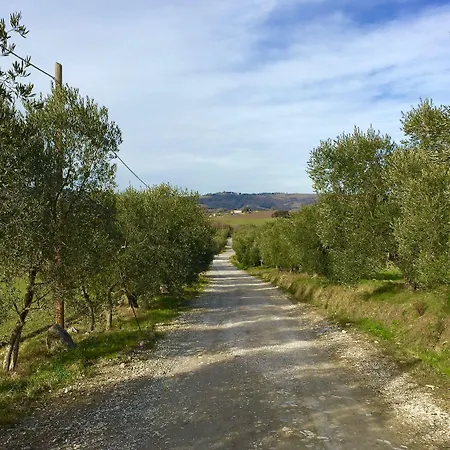 Sant'anastasio Luxury * Pignano